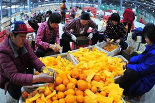 做農(nóng)業(yè)電商，需不需要辦理食品經(jīng)營許可證？怎么辦？一文看懂！